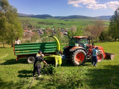Orezávanie líp pri kostole 04/2025, foto 5 z 5