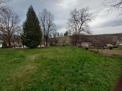 Starý cintorín - uprataný pred Veľkou nocou 2025, foto 2 z 8