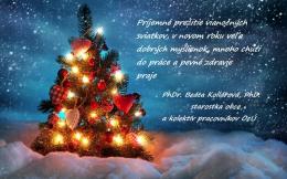 VIANOČNÝ POZDRAV